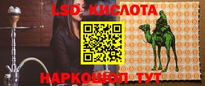 индика Ярославль