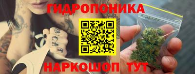 индика Ярославль