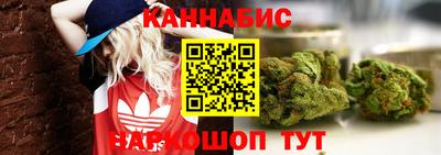 индика Ярославль